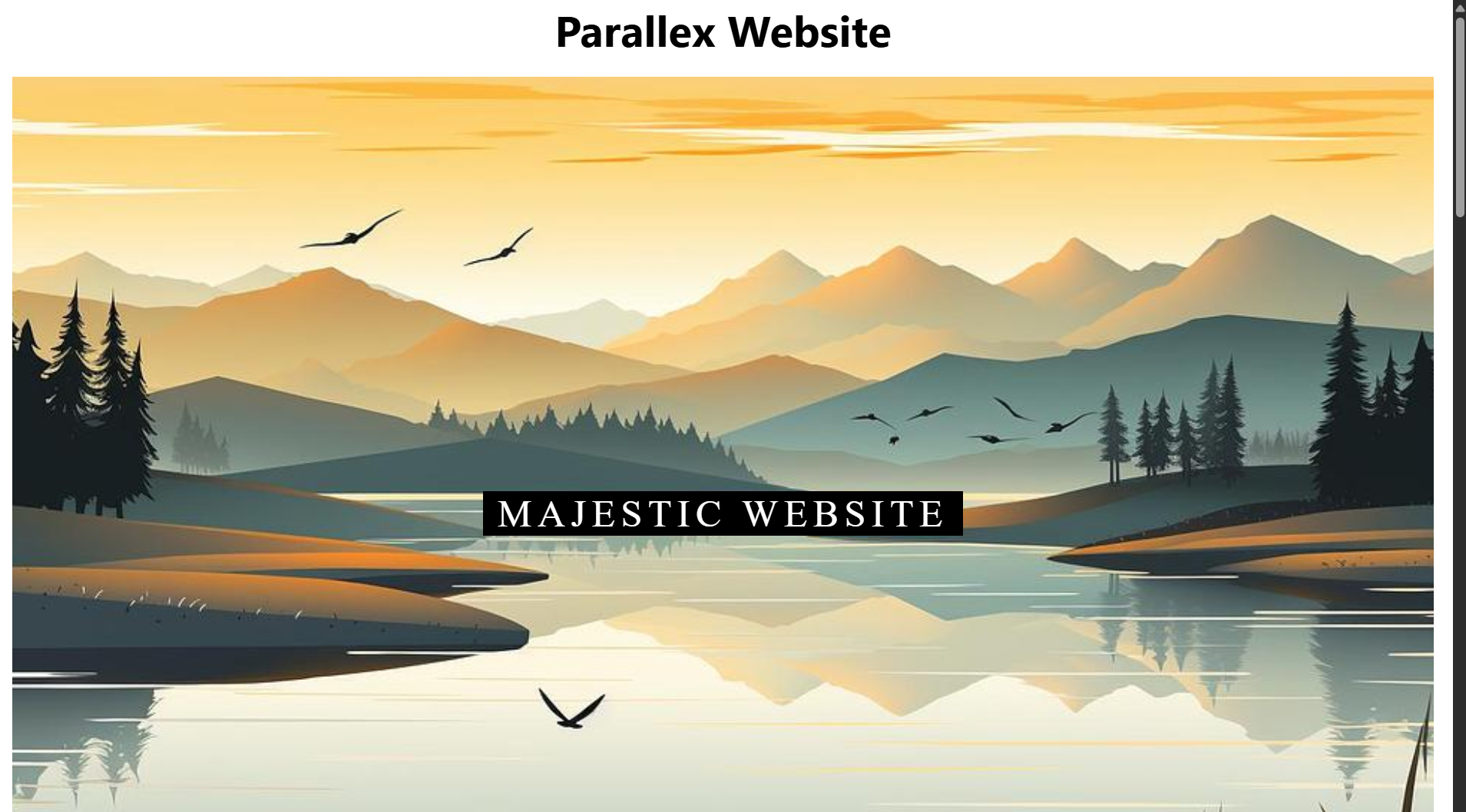 Parallex Website
